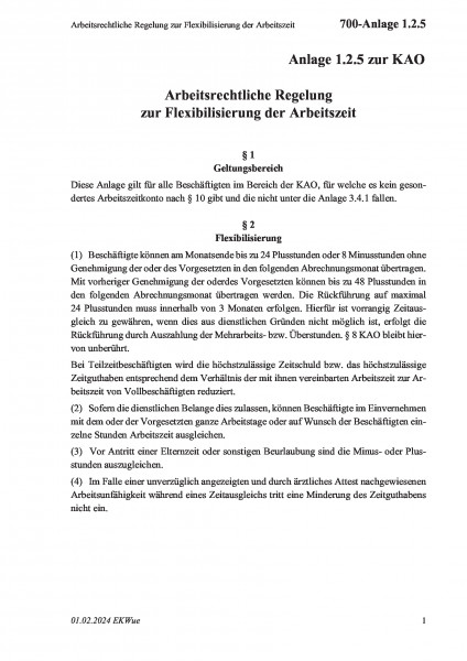 700-Anlage 1.2.5 Arbeitsrechtliche Regelung zur Flexibilisierung der Arbeitszeit